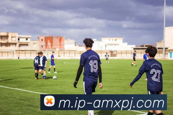 澳门新葡京娱乐平台生态图