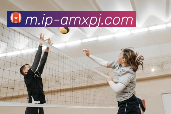 澳门新葡京娱乐全站App 澳门新葡京娱乐全站App